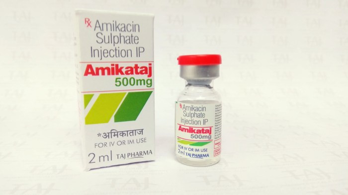 Amikacin sulphate 500mg vial prescription biotic treatment sterile enjeksiyon pharma bir