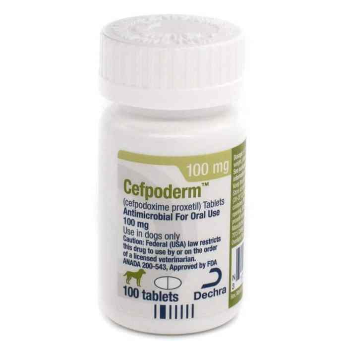 Cefpodoxime for dogs