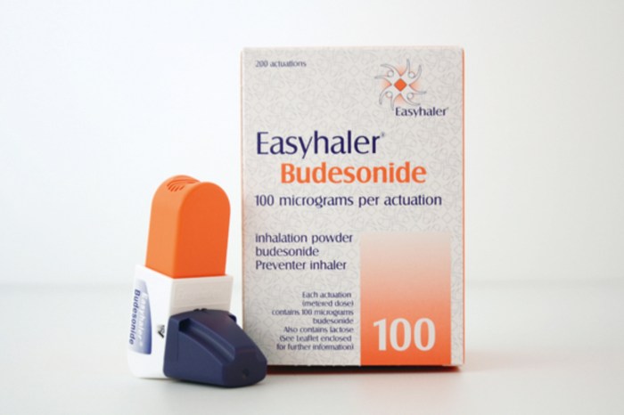 Budesonide inhaler