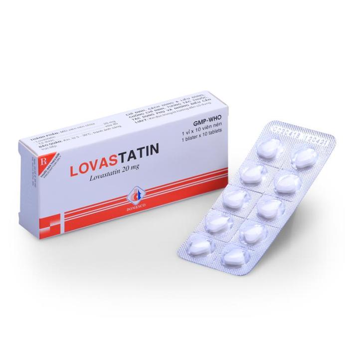 Lovastatin recall