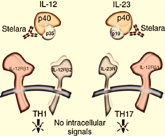 Ustekinumab