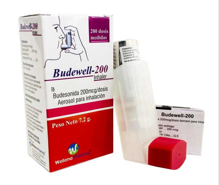 Asthma formoterol budesonide inhalers copd inhaler symbicort powder names name cap medications inhalation dry management dpi corticosteroid dose mdi chronic