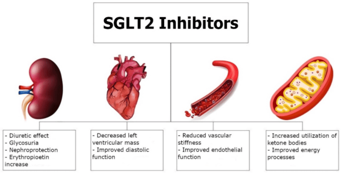 Sglt2 inhibitors