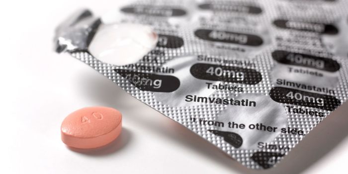 Simvastatin uses